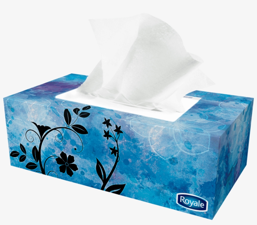 Previous - Next - Facial Tissue Png, transparent png #702219