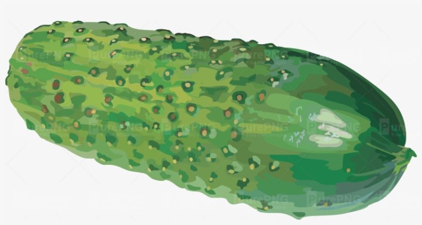 Cucumber Png Image - Watercolor Cucumber Png, transparent png #702464