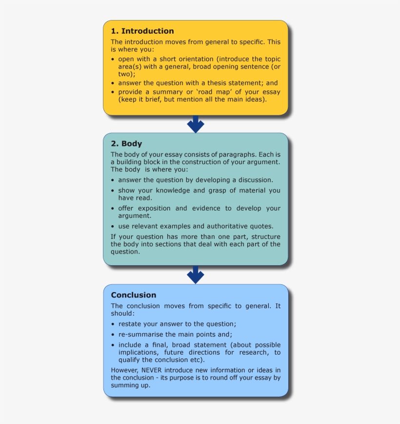 Essay Paragraphs - Write An Essay Structure, transparent png #702607