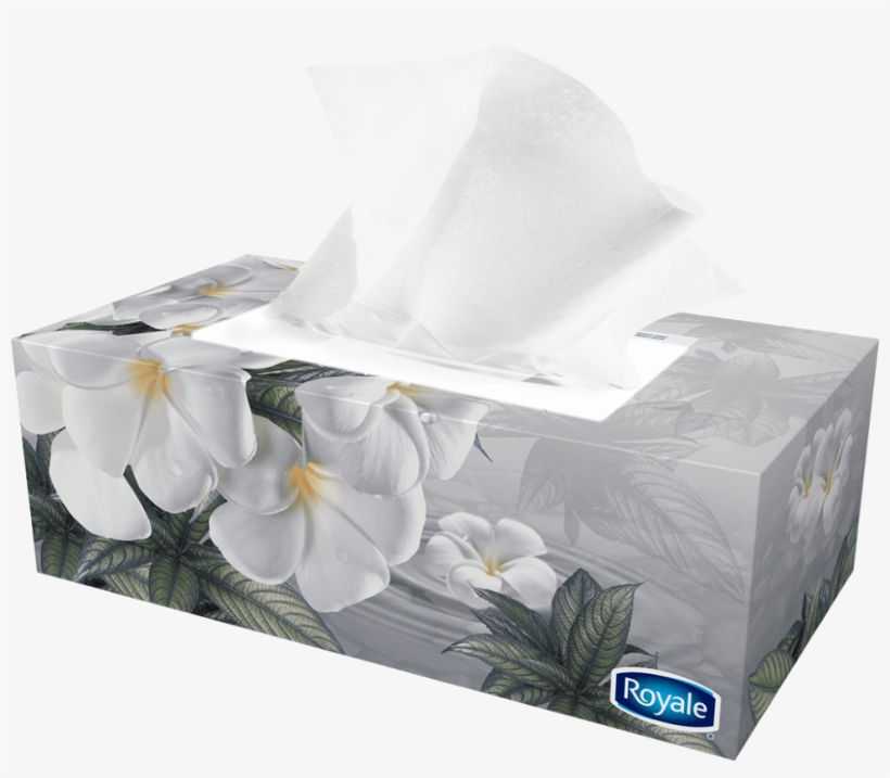 Tissue Paper Box Png, transparent png #702828