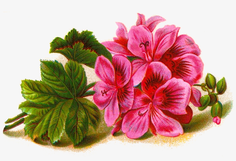 Png Image Plus Matching Stationery, Journal Card And - Lined Music Paper With Flower Journal, transparent png #703383