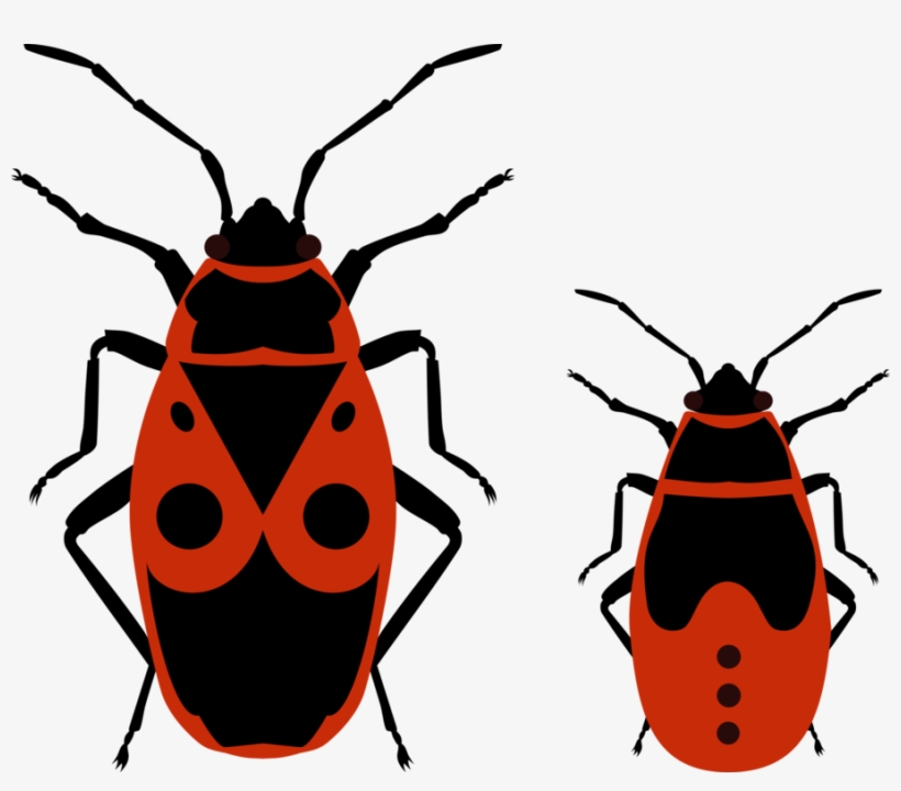 Fireflies And Nymphs - Fire Bug Clipart, transparent png #704615