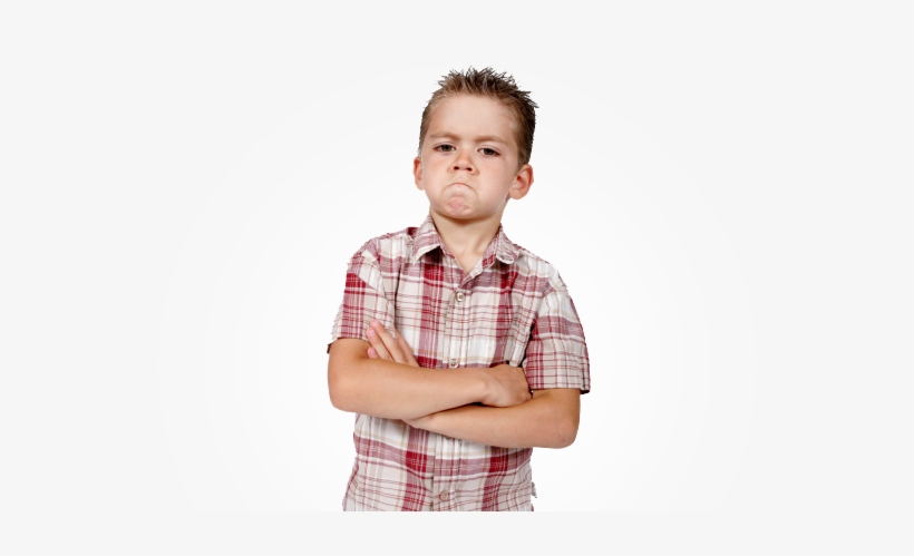 Clip Royalty Free Stock Animal Kingdom Png Image Related - My Story Can Beat Up Your Story Ten Ways To Toughen, transparent png #705553