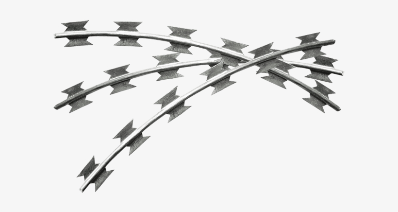 Concertina Wire Site Security - Concertina Wire, transparent png #706631