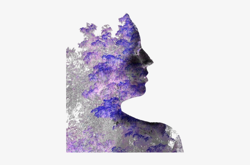 Visual Arts - Free Transparent PNG Download - PNGkey