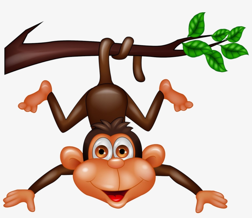 Hang Branch - 100 Of The Most Playful Animals, transparent png #708637
