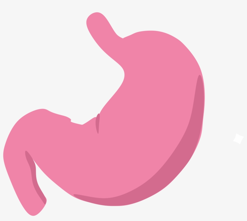Open - Stomach Icon, transparent png #709649