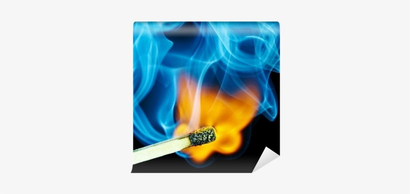 Flame, transparent png #709877