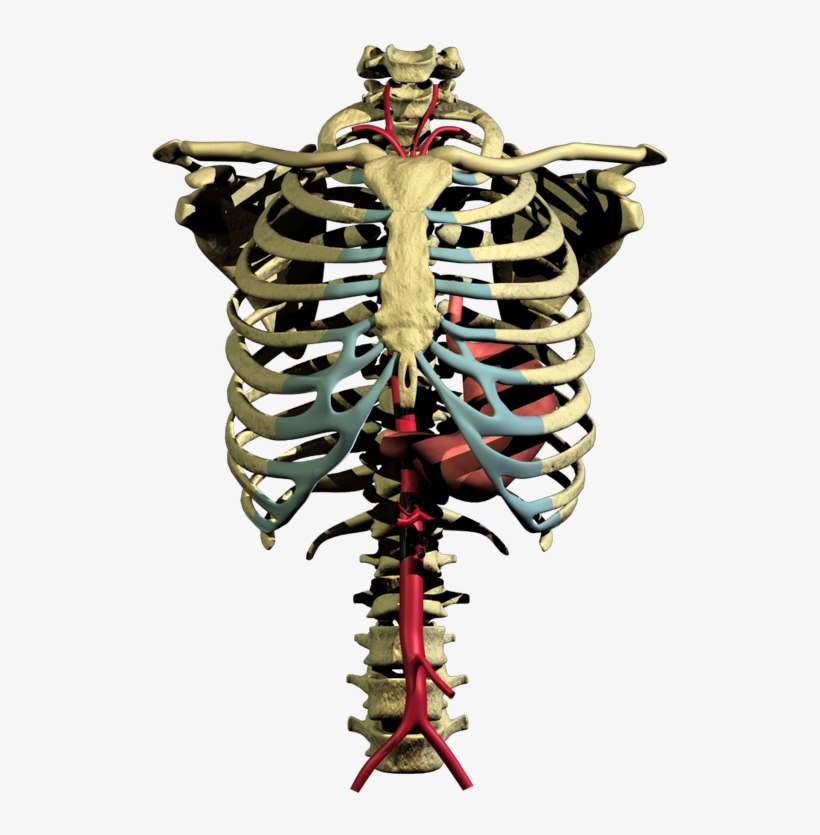 Project Image - Project, transparent png #709972