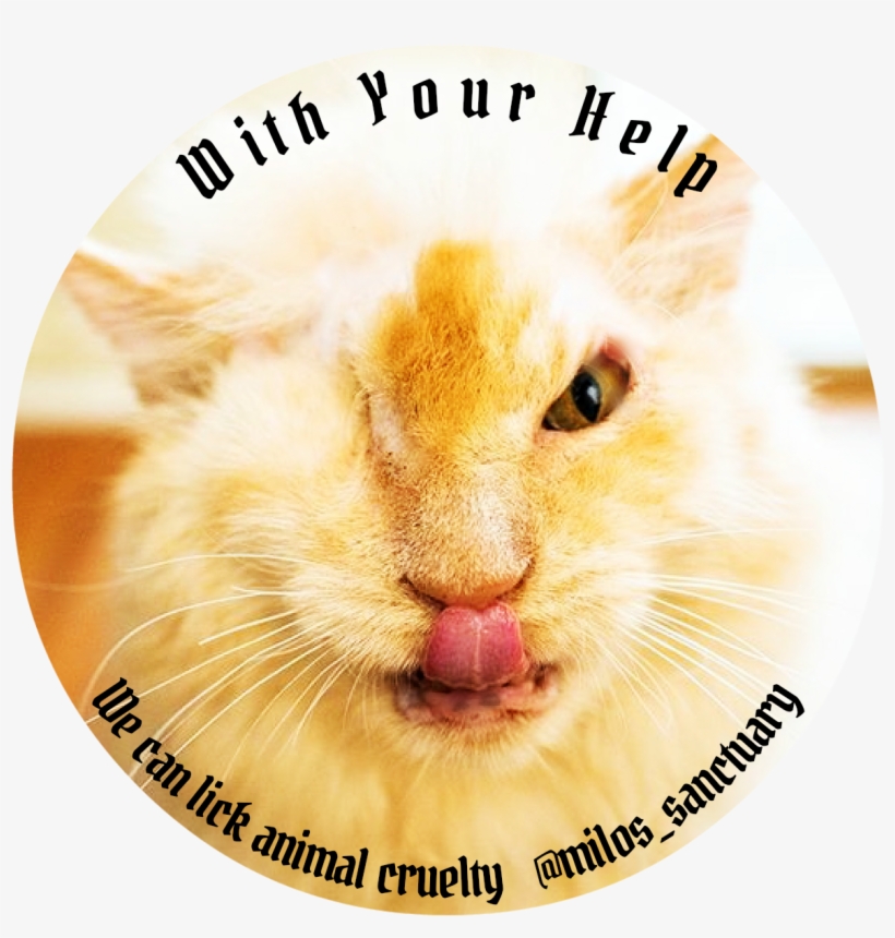 2 Aug, transparent png #7000304