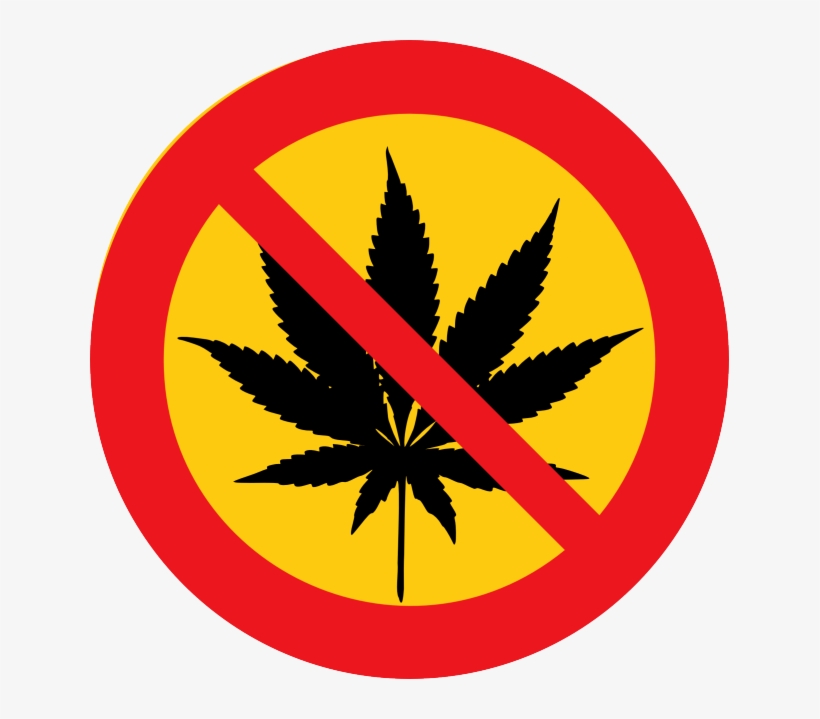 Cannabis Addiction Is Linked To Higher Levels Of Cortisol, transparent png #7000575