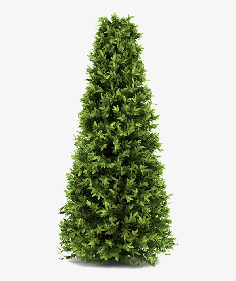 Https - - -, transparent png #7001839