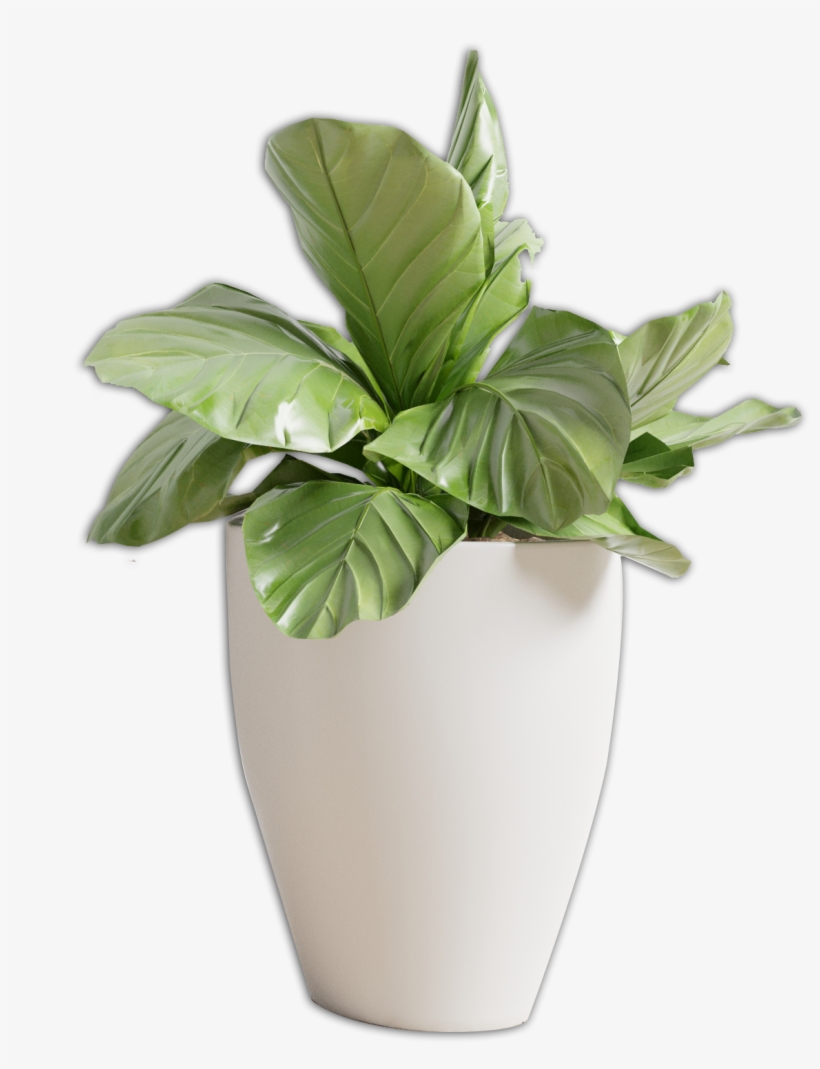 Florero Png, transparent png #7002025