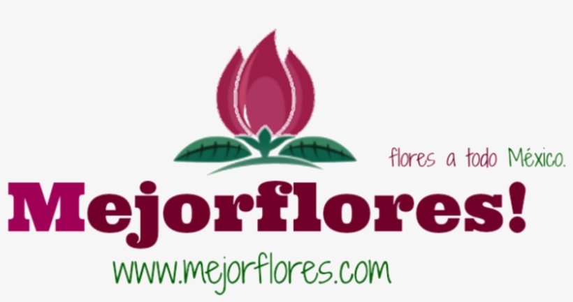 Mejor Flores, transparent png #7002339