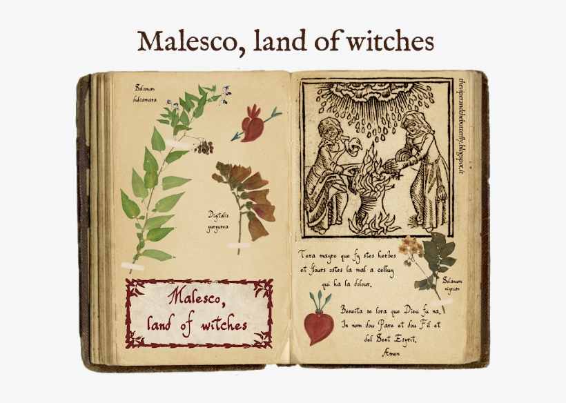 Witches Png, transparent png #7003134