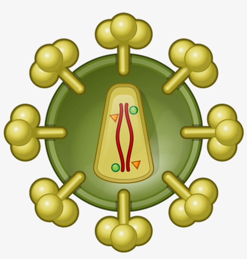 Aids Png, transparent png #7006166