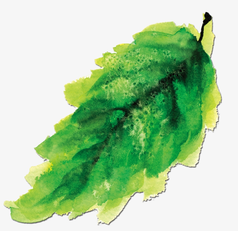 Ink Painting Watercolor Green Leaves, transparent png #7008209