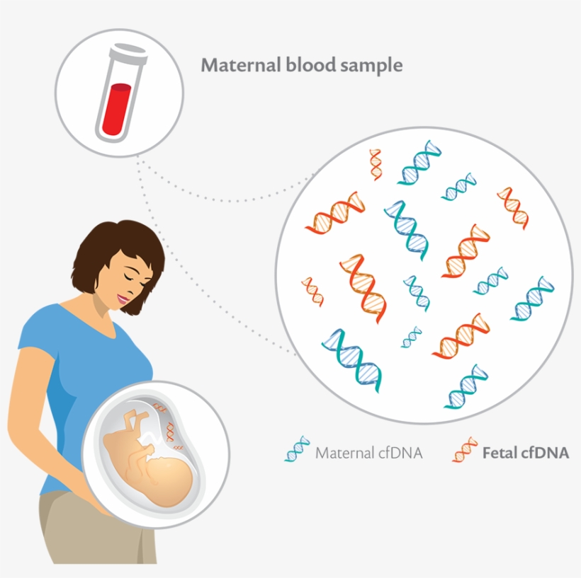 Page Flip Png, transparent png #7009844