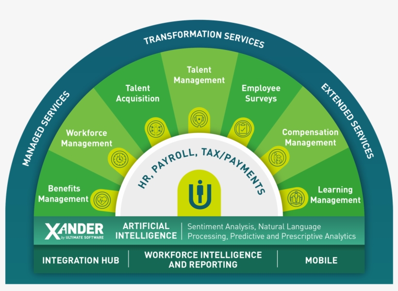 Discover Ultipro's Hcm Software Solution Features For, transparent png #7010945