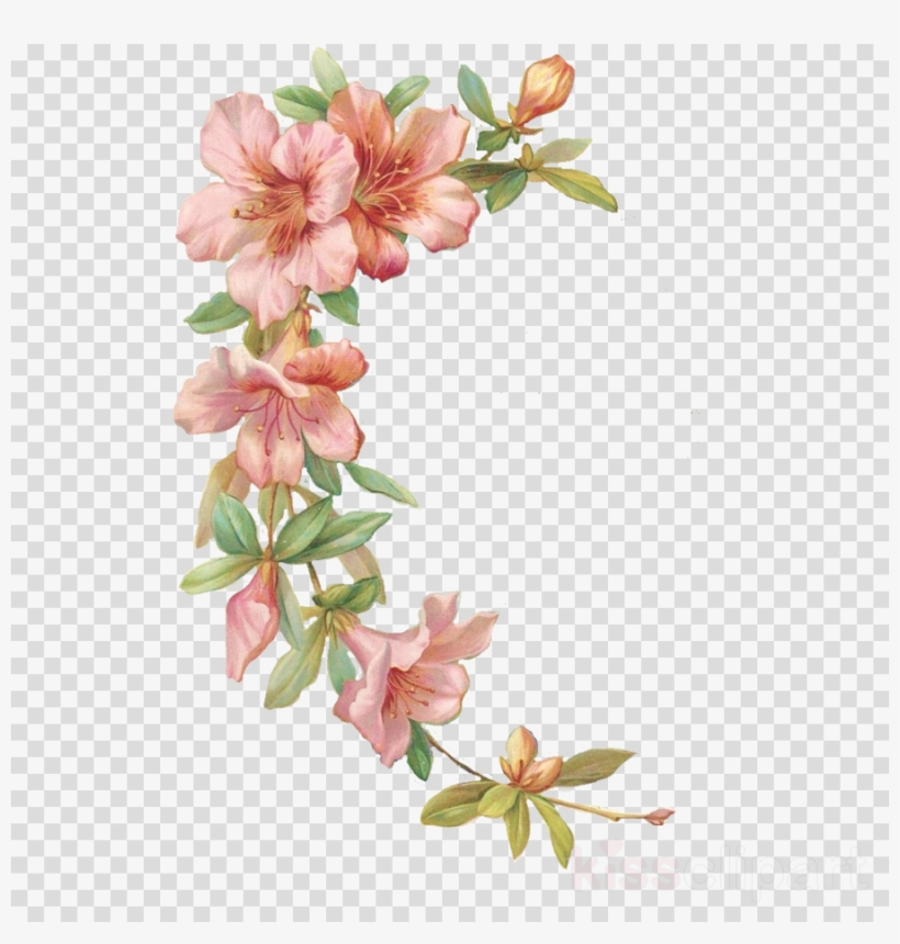 Flores Acuarela Png Con Marco Clipart Watercolor Painting, transparent png #7011936