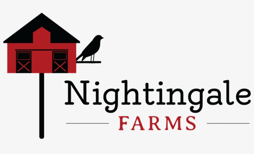 Nightingale Png, transparent png #7012553