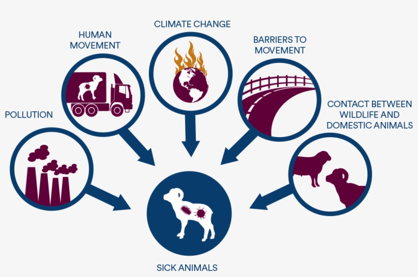 Disease Ecology, transparent png #7012760