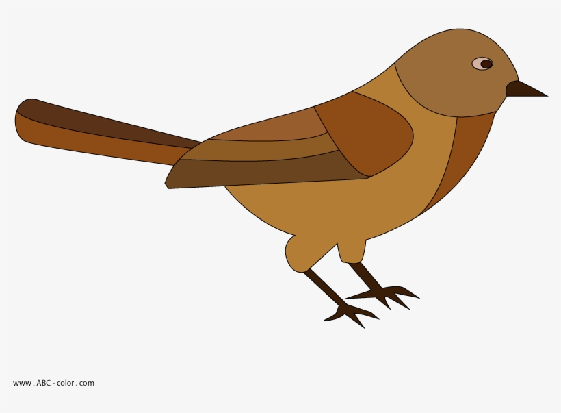 Birdie Raster Picturet, transparent png #7013541