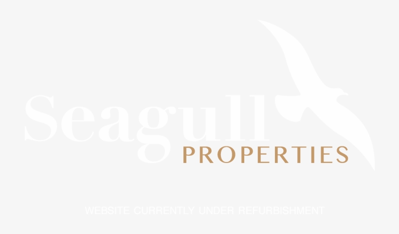 Seagul Png, transparent png #7015519