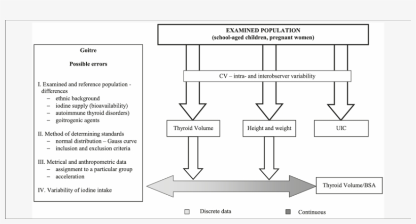Algorithm Of The Evaluation Of Iodine Intake In School-aged, transparent png #7015691