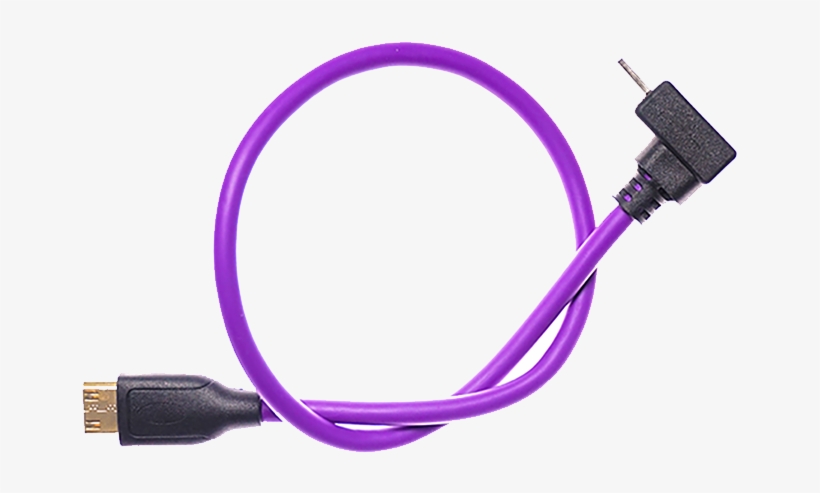 Seagull Standard 30cm Cable For, transparent png #7015744