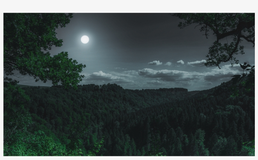 Score 50%, transparent png #7018058