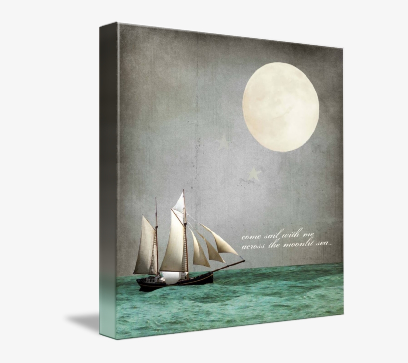 Mkc Photography Moonlight Canvas, transparent png #7018428