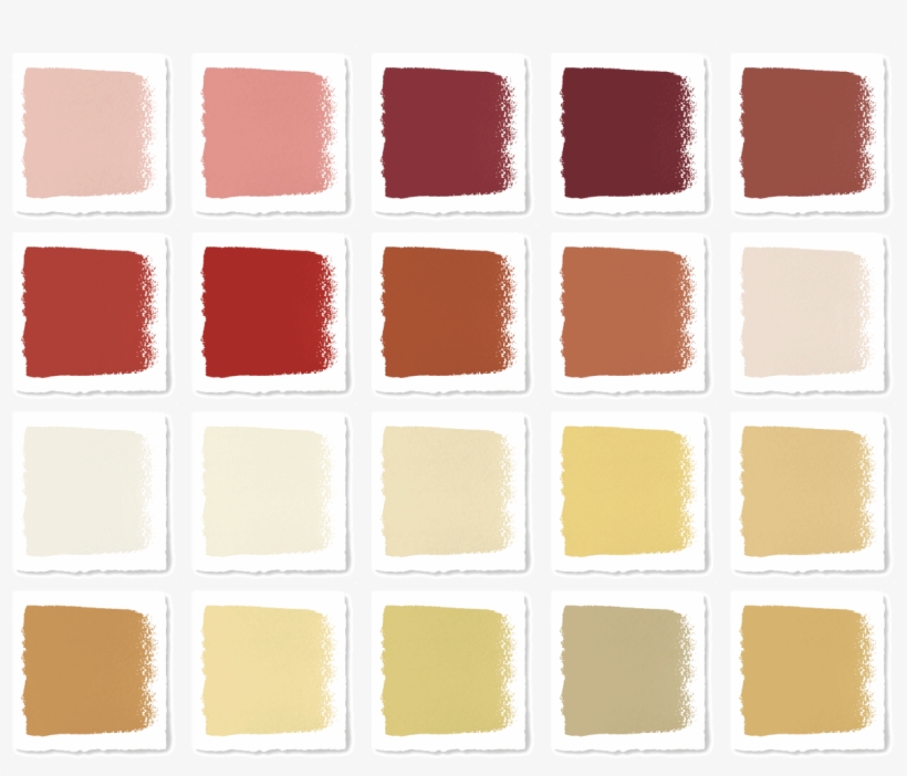 Magnolia Home Premium Paint, transparent png #7019004