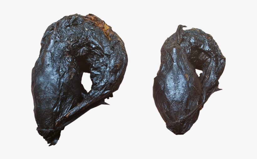 Catfish 2 In1, transparent png #7021017