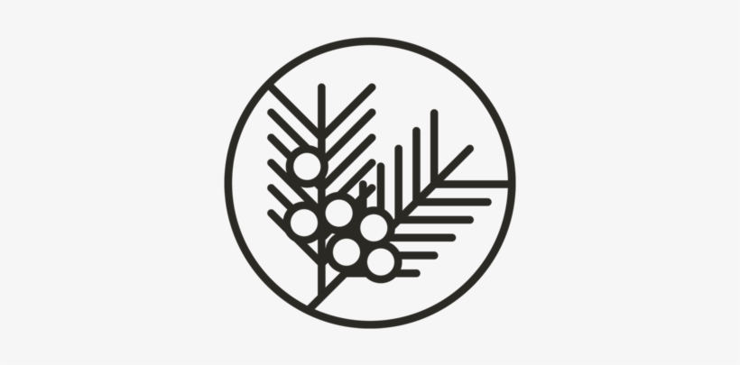 Icons 2000px Withpadding Gin, transparent png #7023965