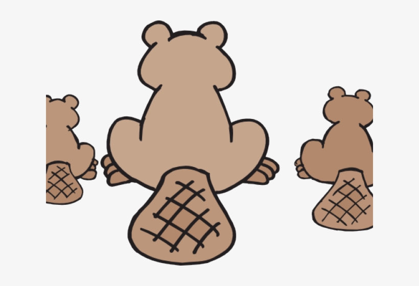 Beaver Png, transparent png #7023969