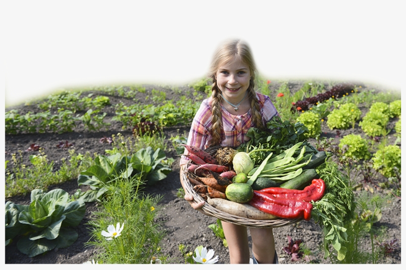 In Our Pilot Year, More Than 110 Children Participated, transparent png #7027393