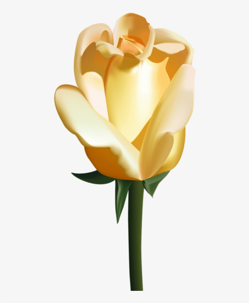 Free Png Yellow Rose Png Images Transparent, transparent png #7028648