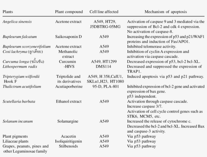 Summary Of The Molecular Mechanism Of Medicinal Herbs, transparent png #7030390