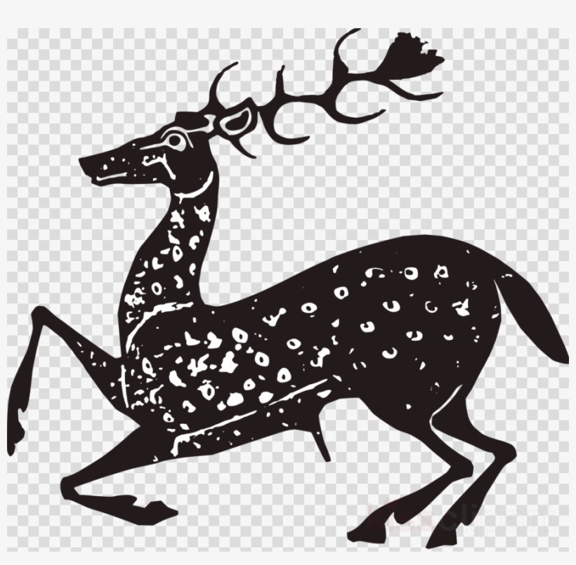 Deer, transparent png #7036545