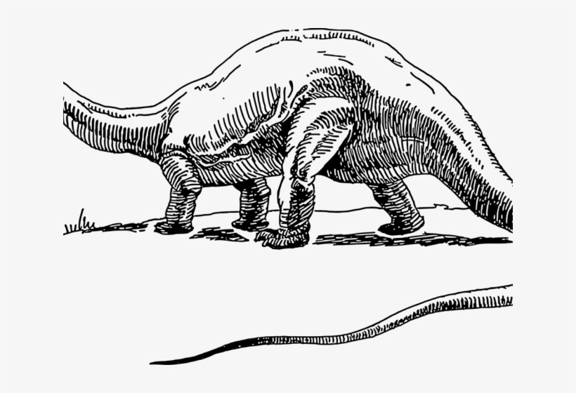 Stegosaurus Clipart Brontosaurus, transparent png #7038175