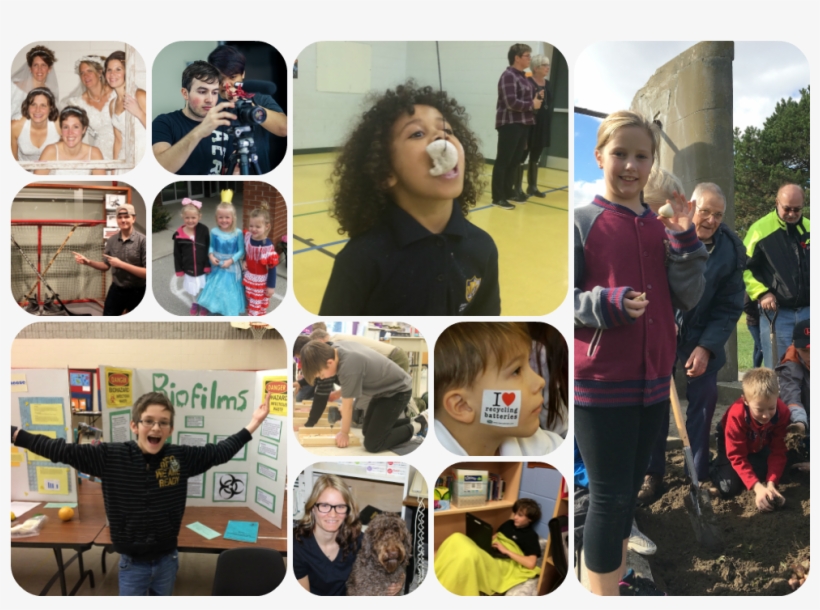 Celebrating Meaning Through Stories, transparent png #7040451