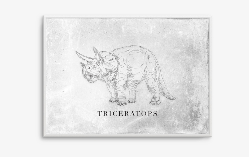 Triceratops Ls, transparent png #7041081