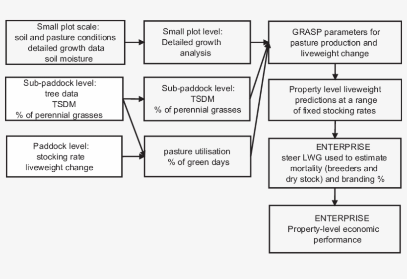 Key Steps In Evaluating The Effect Of Stocking Rate, transparent png #7041553