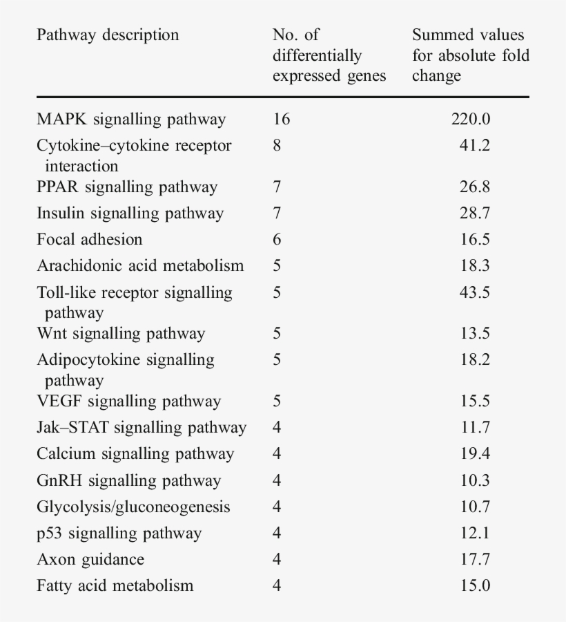 Signalling Pathways After Acute Exercise In Descend-, transparent png #7041938