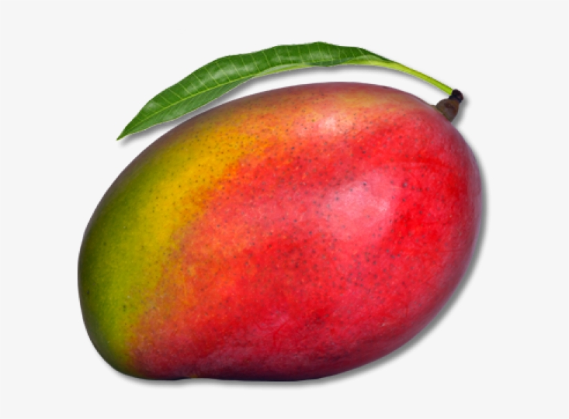 Mango Png Free Download, transparent png #7042623