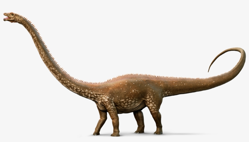 Diplodocus Png Picture, transparent png #7042692