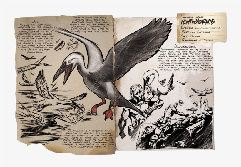 800px-dossier Ichthyornis Version=f5, transparent png #7043526
