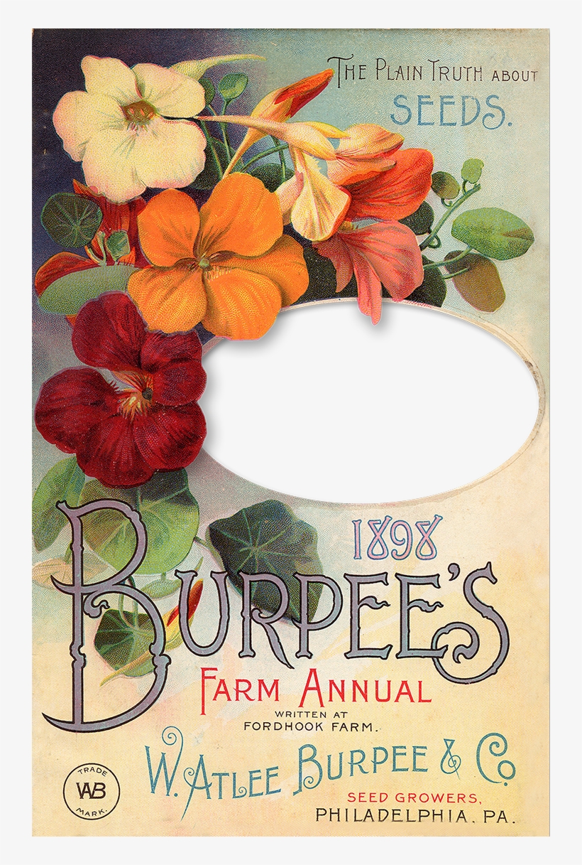 Wings Of Whimsy, transparent png #7043942