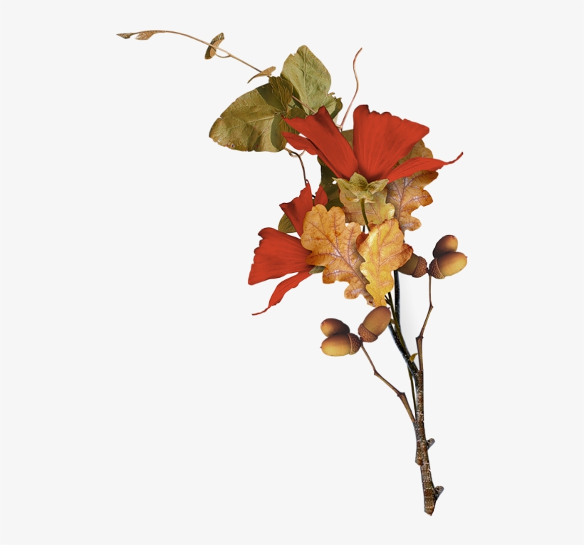 Enchanted, Leaf Flowers, Fall Plants, Polyvore Fashion,, transparent png #7045562